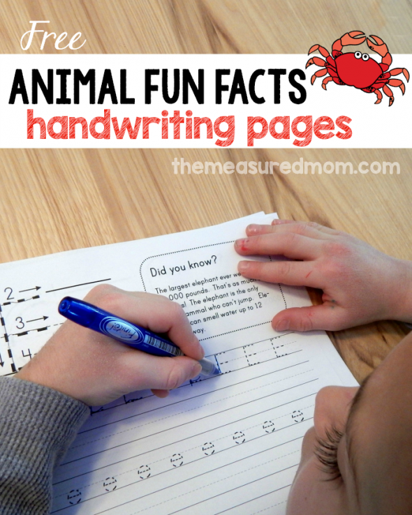 Get this set of 26 free handwriting worksheets featuring animal fun facts. No more boring handwriting practice!