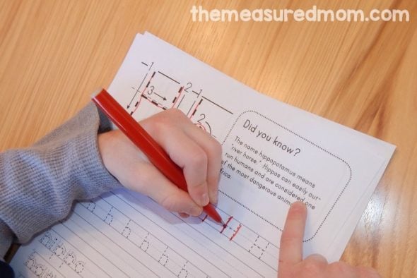 Get this set of 26 free handwriting worksheets featuring animal fun facts. No more boring handwriting practice!