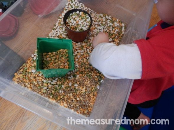 Looking for letter G activities for preschoolers? You'll love the variety and free printables in this post!