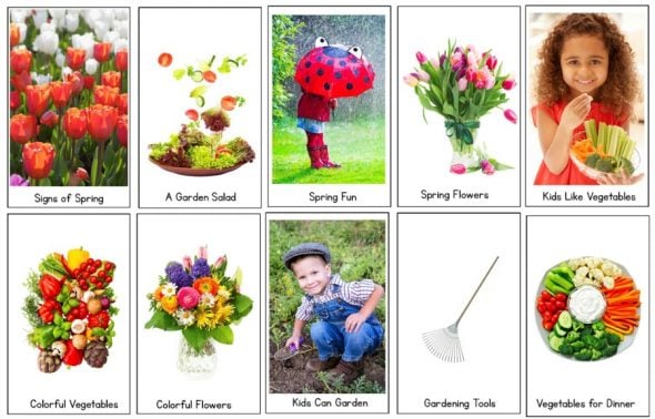 spring nf readers set