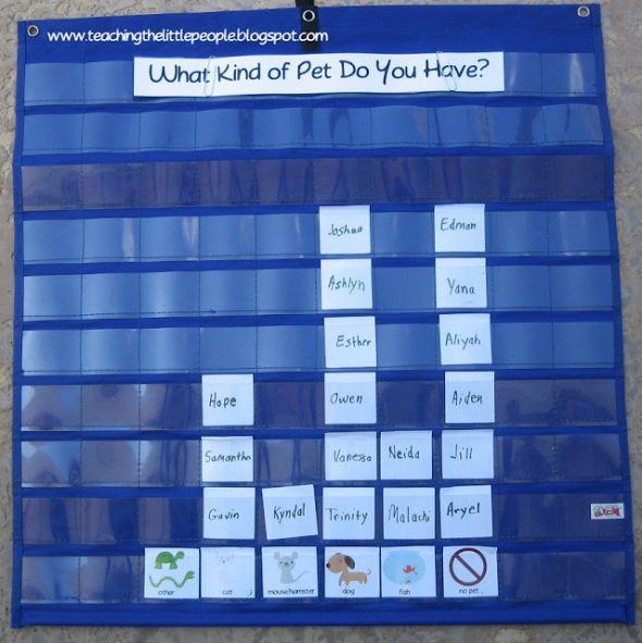 Here's a fantastic example from Teaching the Little People. Click on the graph to get many more class graph ideas.