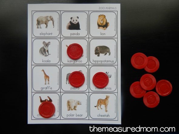 vocabulary picture cards