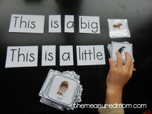 vocabulary picture card sample image