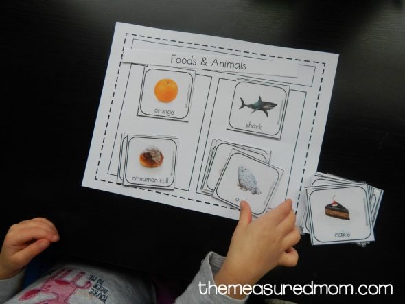 vocabulary picture cards