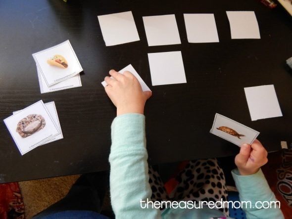 Enjoy these fun letter T activities for toddlers